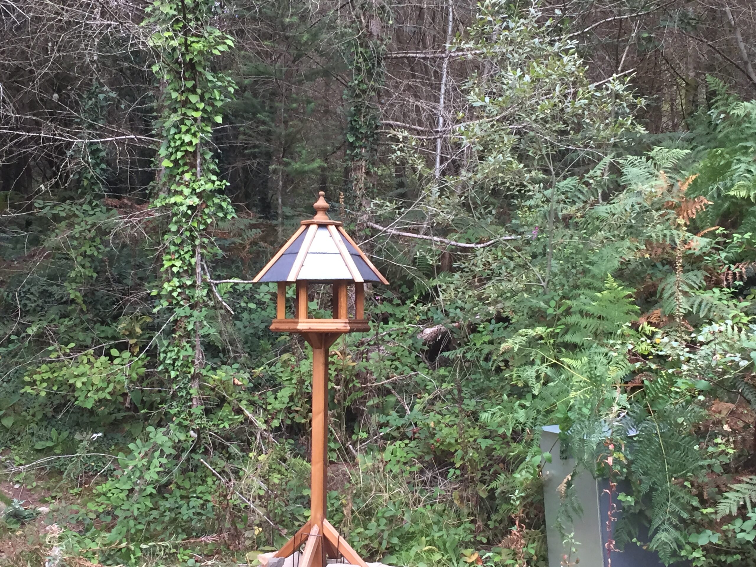 Photography of a wooden upright bird feeding table against a forest background